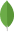 MongoDB